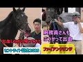 Download Lagu 【セントライト記念2025】レース後モレイラが異変に気付く、出血するファイアンクランツにぶつかり厩務員さんも出血してしまう