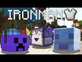 Collecting all the EASY talismans on IRONMAN Hypixel Skyblock