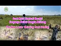 Download Lagu Berburu Belibis Terbaru - Surganya Belibis Bangka Belitung || The New Lesser Whistling Duck Hunting