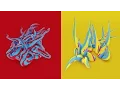 Let s create tentacles on a infinite floor with shadows using TrapcodeTAO and After Effects