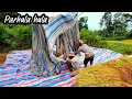 Download Lagu DI JOU AU MULAK INANG.... #batakmusik #bataksong