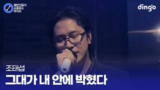 홍대 서바이벌 공연에 도전한 일반인 실력자 그대가 내 안에 박혔다 (조태섭) cover