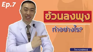 อ้วนลงพุงเกิดจากสาเหตุอะไร และมีวิธีรักษาอย่างไรบ้าง