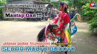 Download Kiprah Jaranan Gagrak Tulungagung Ebeg Sekar Mulyo Budoyo Live Tambakmulyo PURING MP3