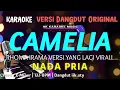 Download Lagu CAMELIA KARAOKE NADA COWOK / PRIA VERSI DANGDUT TASYA ROSMALA