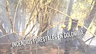 Incendios Forestales en Colombia: ¿Cuánto Tarda la Naturaleza en Sanar?TvAgro por Juan Gonzalo Angel