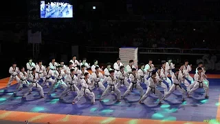 Download 2018 제주 한마당 Jeju World Taekwondo Hanmadang，Opening Ceremony，Kukkiwon Demonstration Team 국기원，国技院 MP3