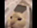 uAAAAu uu uu u uAAAu uAAAAAAA
