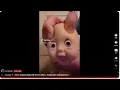 Download Lagu I’m an eagle meme (not my video)