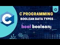Boolean Data Types The Basics Explained C programming