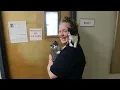 Do you know about our Kitty Prison Program