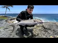 Download Lagu Hawaii Shore Dive For Uku