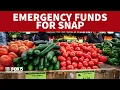 SNAP Benefits DC Maryland Virginia using emergency funds