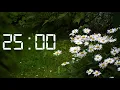 25 Minute Timer Relaxing Rain Sounds