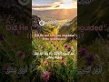 Download Lagu Surah Ad-Duha | By Sheikh Abdur-Rahman As-Sudais | With Arabic Text | With Translation |93سورۃ الضحی