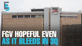 evening 5 fgv says recovery in sight