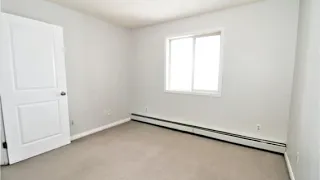                        دندنها
