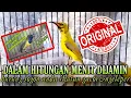 Download Lagu Kurang Dalam 1 mnt burung anda pasti ikut gacor // masteran terampuh 2025 sogon gacor dor ngeleper