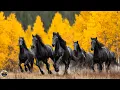 Download Lagu Осень - Красивая музыка для души! Самая красивая мелодия на свете! Скажи ЖИЗНИ ДА!