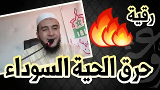 حرق الحية السوداء الراقي المغربي نعيم ربيع 