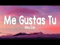 Download Lagu Me Gustas Tu (Letra/Lyrics) - Manu Chao