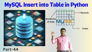 MySQL Insert into Table Python MySQL Python Tutorial Python MySQL connection