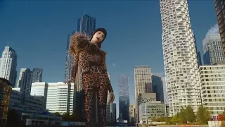 H M Giantess