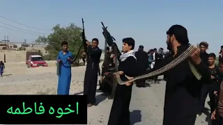 أسود بني هاشم 