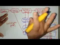 Life Cycle of a Servlet WT Web Technology Lec-37 Bhanu Priya
