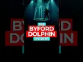 The True Story of the Byford Dolphin Incident