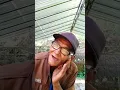 Download Lagu STORY WA TIKTOK DANGDUT LUCU VIRAL TERBARU 2021 SI KAKEK NGERAYU TANTE  CANTIK PAKE LAGU RHOMA IRAMA