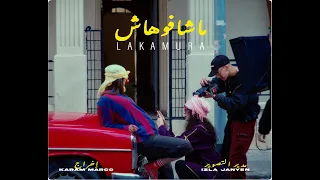                                               دندنها