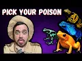 Best Beginner Poison Dart Frogs
