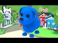 What is a Blue Dog worth