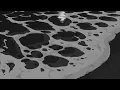i was only temporary (slowed + reverb) + (muffled)