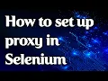 How to set a proxy in Selenium