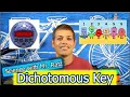 What is a Dichotomous Key