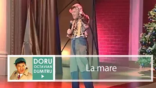 la mare doru octavian dumitru