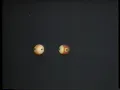 Dynamics of a Billiard Ball