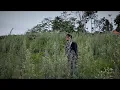 Download Lagu HARAPAN CINTA  BY  ALANGGA (Official Music Video)