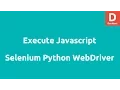 Execute Javascript using Selenium Python