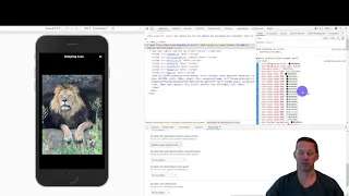 Ionic - Testing your app in Dark Mode