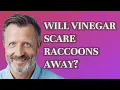Will vinegar scare raccoons away