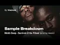 Lagu Sample Breakdown: Mobb Deep - Survival of the Fittest