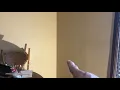 Sherwin Williams High Build Primer Fail