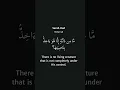 Download Lagu Prophet Hud put his trust in Allah - Mahmoud Khalil Al Hussary | English Translation