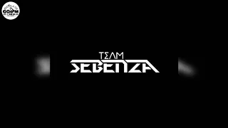 team sebenza mbungas