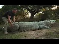 This Prehistoric Ocean Was Thalassophobia On Steroids
