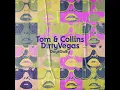 Days Go By - Dirty Vegas & Tom & Collins