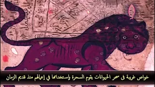 خواص غريبة فى سحر الحيوانات يقوم السحرة بإستخدامها في أعمالهم منذ قديم الزمان الجزء الثانى 